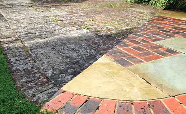 Image of patio with heavy lichen, algae and fungus invasion.